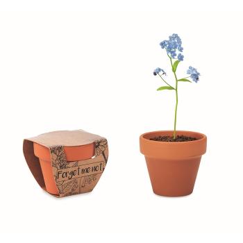 Terracotta pot 'forget me not' MO6146-40