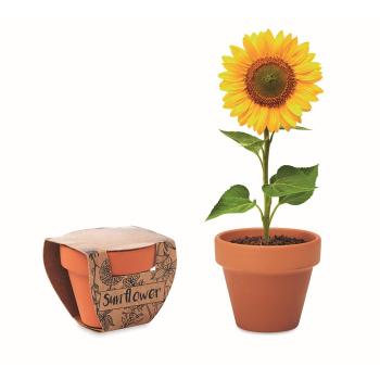 Terracotta pot 'sunflower'     MO6147-40