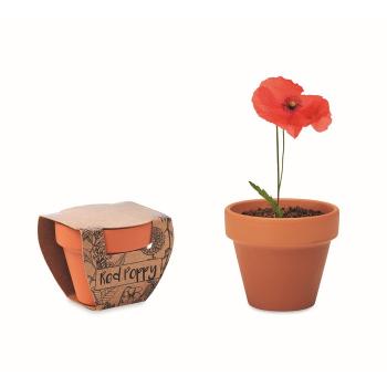 Terracotta pot 'poppy'         MO6148-40