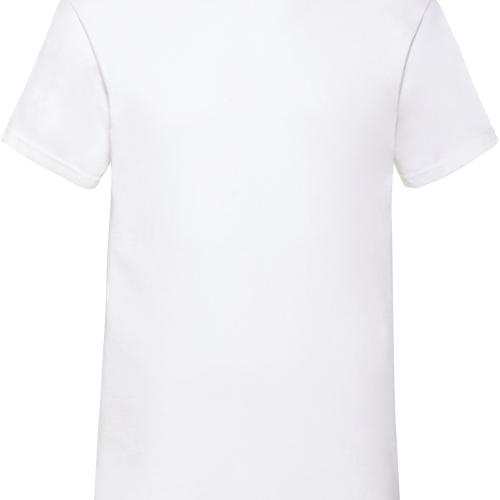 Men's Valueweight V-neck T-shirt (61-066-0)