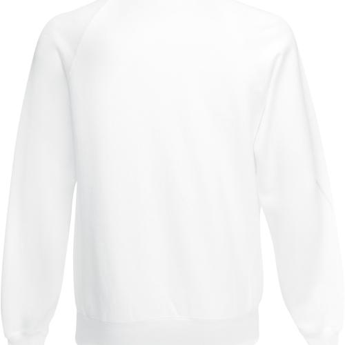 Raglan Sleeve Sweatshirt (62-216-0)