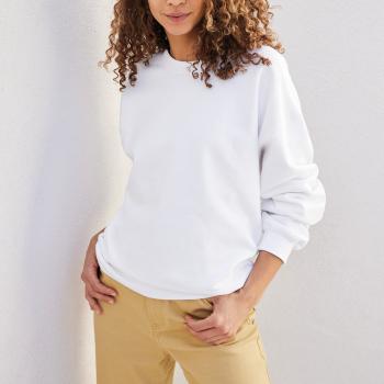 Midweight Softstyle crew neck sweatshirt