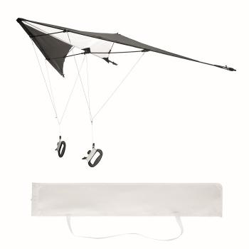 Delta kite                     MO6233-03