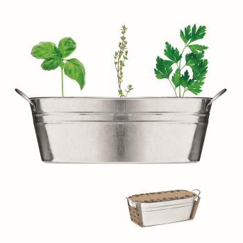 Zinc tub with 3 herbs seeds    MO6497-16