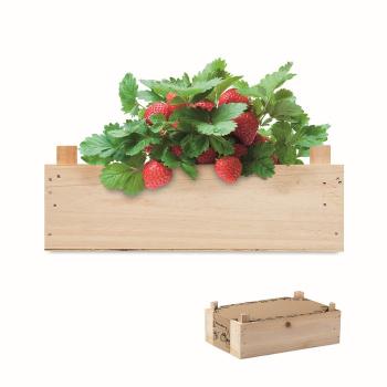 Strawberry kit in wooden crate MO6506-40