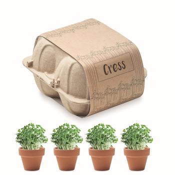 Egg carton growing kit         MO6886-13