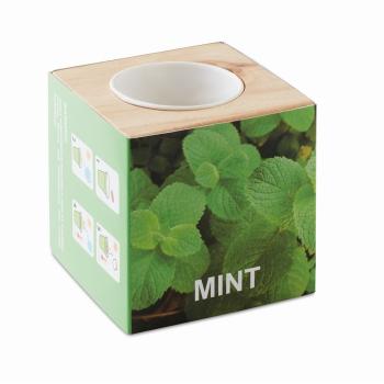 Pot en bois avec graine Menthe MO9337-40