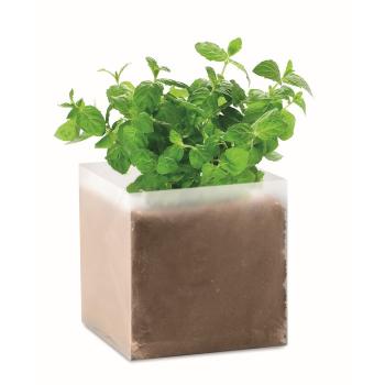 Compost with seeds "MINT"      MO9546-13