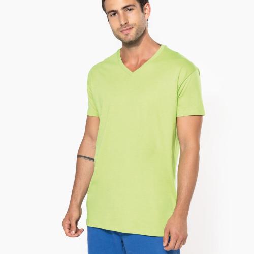 Men's BIO150IC V-neck t-shirt