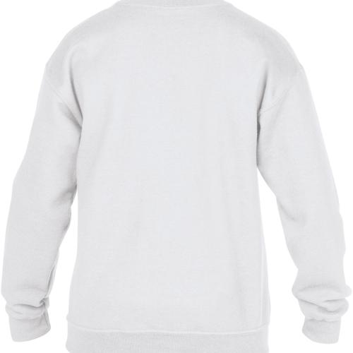 Kids' Heavy Blend™ Crew neck Sweatshirt