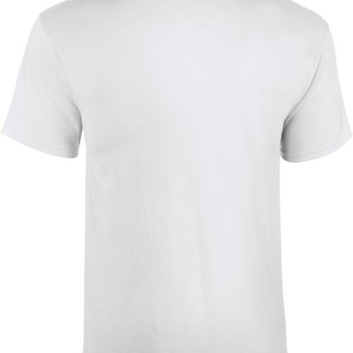 T-shirt homme Heavy Cotton™