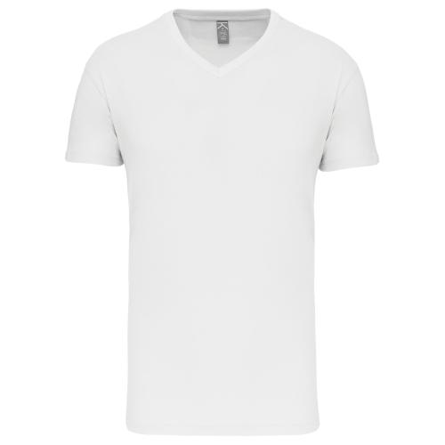 Men's BIO150IC V-neck t-shirt