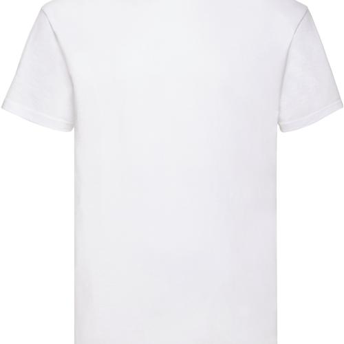 Valueweight Men's T-shirt (61-036-0)