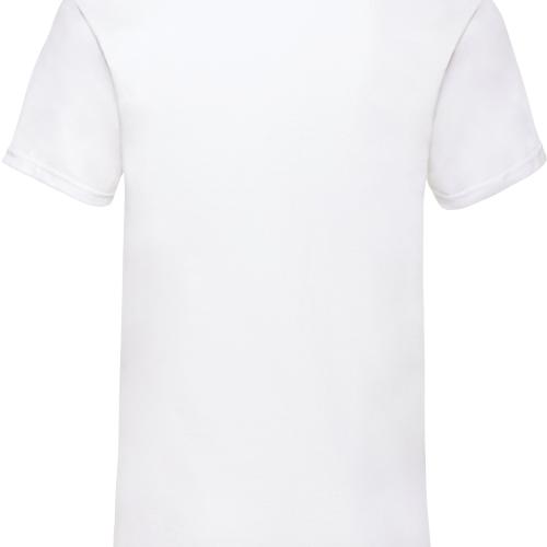 Men's Valueweight V-neck T-shirt (61-066-0)