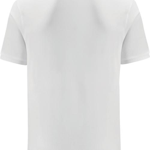 Iconic polo