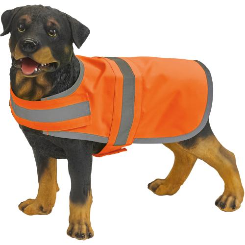 Gilet réfléchissant pour chien