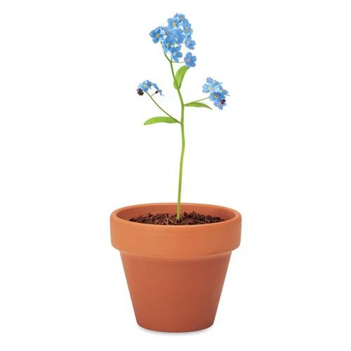 FORGET ME NOT Pot graines de myosotis