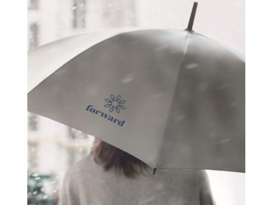 catégorie parapluies