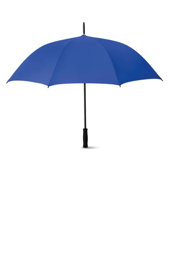 Parapluie Swansea